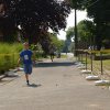 Falunap 2017